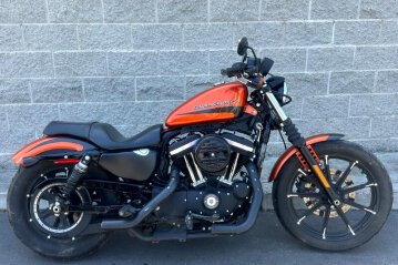2020 Harley-Davidson Sportster Iron 883
