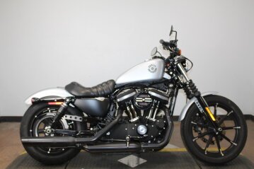 2020 Harley-Davidson Sportster Iron 883