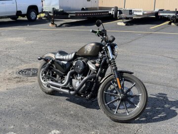 2020 Harley-Davidson Sportster Iron 883