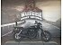 2020 Harley-Davidson Street 500