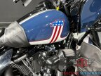 Thumbnail Photo 2 for 2020 Harley-Davidson Touring