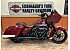 2020 Harley-Davidson Touring Road Glide Special