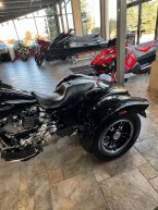 Thumbnail Photo 6 for 2020 Harley-Davidson Trike Freewheeler