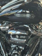 Thumbnail Photo 3 for 2020 Harley-Davidson Trike Freewheeler