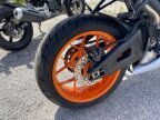 Thumbnail Photo 2 for 2020 Honda CBR600RR