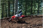 Thumbnail Photo 4 for 2020 Honda CRF450R