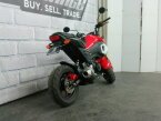 Thumbnail Photo 3 for 2020 Honda Grom