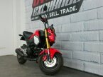 Thumbnail Photo 1 for 2020 Honda Grom