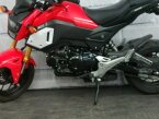 Thumbnail Photo 6 for 2020 Honda Grom