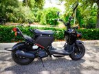 Thumbnail Photo 4 for 2020 Honda Ruckus