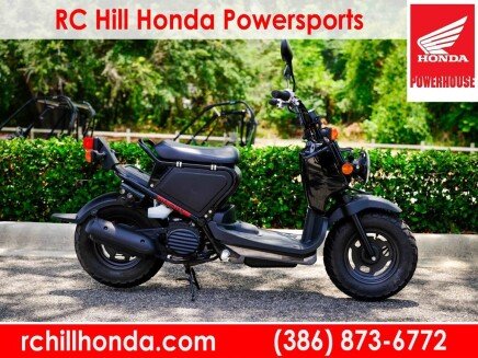 Photo 1 for 2020 Honda Ruckus
