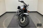Thumbnail Photo 1 for 2020 Honda Shadow Phantom