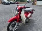 Thumbnail Photo 2 for 2020 Honda Super Cub C125