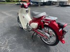 Thumbnail Photo 4 for 2020 Honda Super Cub C125