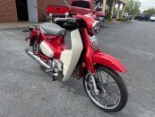 2020 Honda Super Cub C125