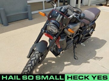 2020 Indian FTR 1200 Rally