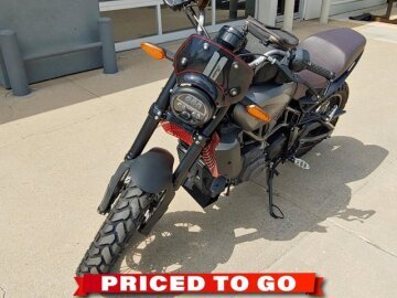 2020 Indian FTR 1200 Rally