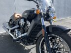 Thumbnail Photo 6 for 2020 Indian Scout ABS