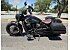 2020 Indian Scout