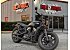 2020 Indian Scout