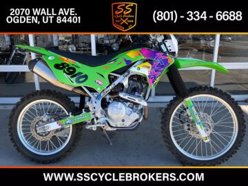 2020 Kawasaki KLX230R