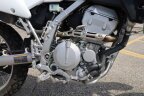 Thumbnail Photo 3 for 2020 Kawasaki KLX250