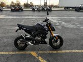 2020 Kawasaki Z125 Pro