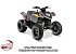2020 Polaris Phoenix 200