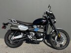 Thumbnail Photo 1 for 2020 Triumph Scrambler 1200 XC