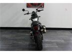 Thumbnail Photo 3 for 2020 Triumph Street Scrambler