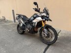Thumbnail Photo 1 for 2020 Triumph Tiger 900 Rally Pro