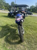 Thumbnail Photo 1 for 2020 Yamaha WR250F