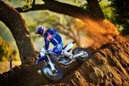Thumbnail Photo 6 for 2020 Yamaha YZ450F
