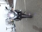 Thumbnail Photo 2 for 2021 BMW R1250GS