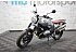 2021 BMW R nineT Scrambler