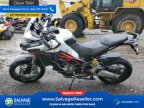 Thumbnail Photo 4 for 2021 Ducati Multistrada 950