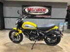 Thumbnail Photo 5 for 2021 Ducati Scrambler Desert Sled