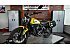 2021 Ducati Scrambler Desert Sled