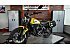 2021 Ducati Scrambler Desert Sled