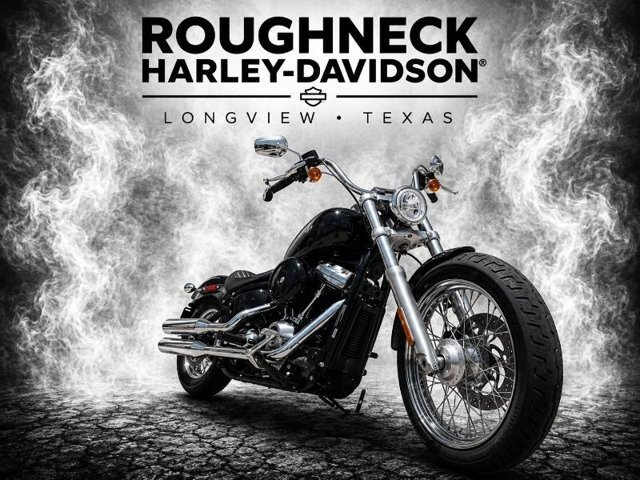 2021 Harley-Davidson Softail