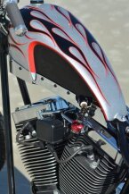 Thumbnail Photo 6 for 2021 Harley-Davidson Other Harley-Davidson Models