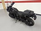 Thumbnail Photo 6 for 2021 Harley-Davidson Pan America Special