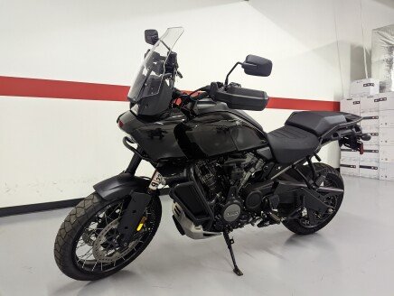 Photo 1 for 2021 Harley-Davidson Pan America Special