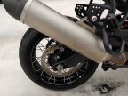 Thumbnail Photo 4 for 2021 Harley-Davidson Pan America Special