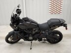 Thumbnail Photo 6 for 2021 Harley-Davidson Pan America Special