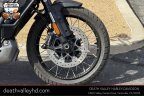 Thumbnail Photo 3 for 2021 Harley-Davidson Pan America Special