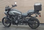 Thumbnail Photo 4 for 2021 Harley-Davidson Pan America Special