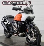 Thumbnail Photo 1 for 2021 Harley-Davidson Pan America Special
