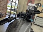 Thumbnail Photo 3 for 2021 Harley-Davidson Pan America Special