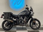 Thumbnail Photo 6 for 2021 Harley-Davidson Pan America Special